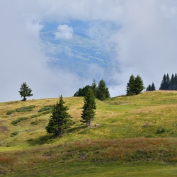 2019-08 Savoie/La Tuile/DSC_1229.JPG